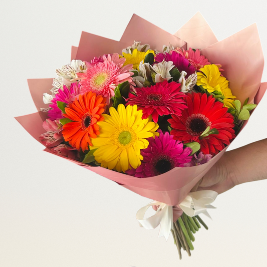 Encanto de Gerberas