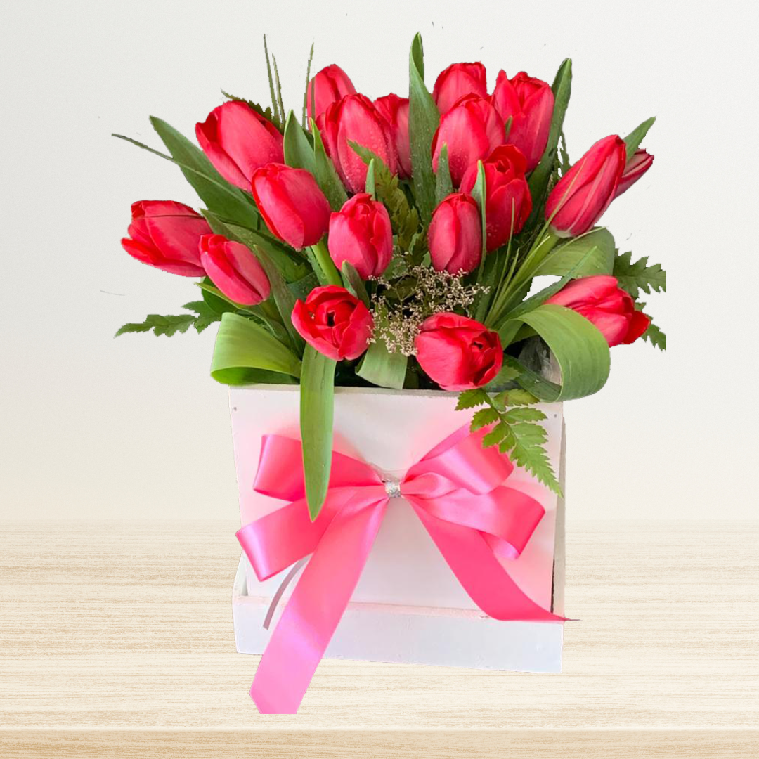 Box Tulipanes Red Blush